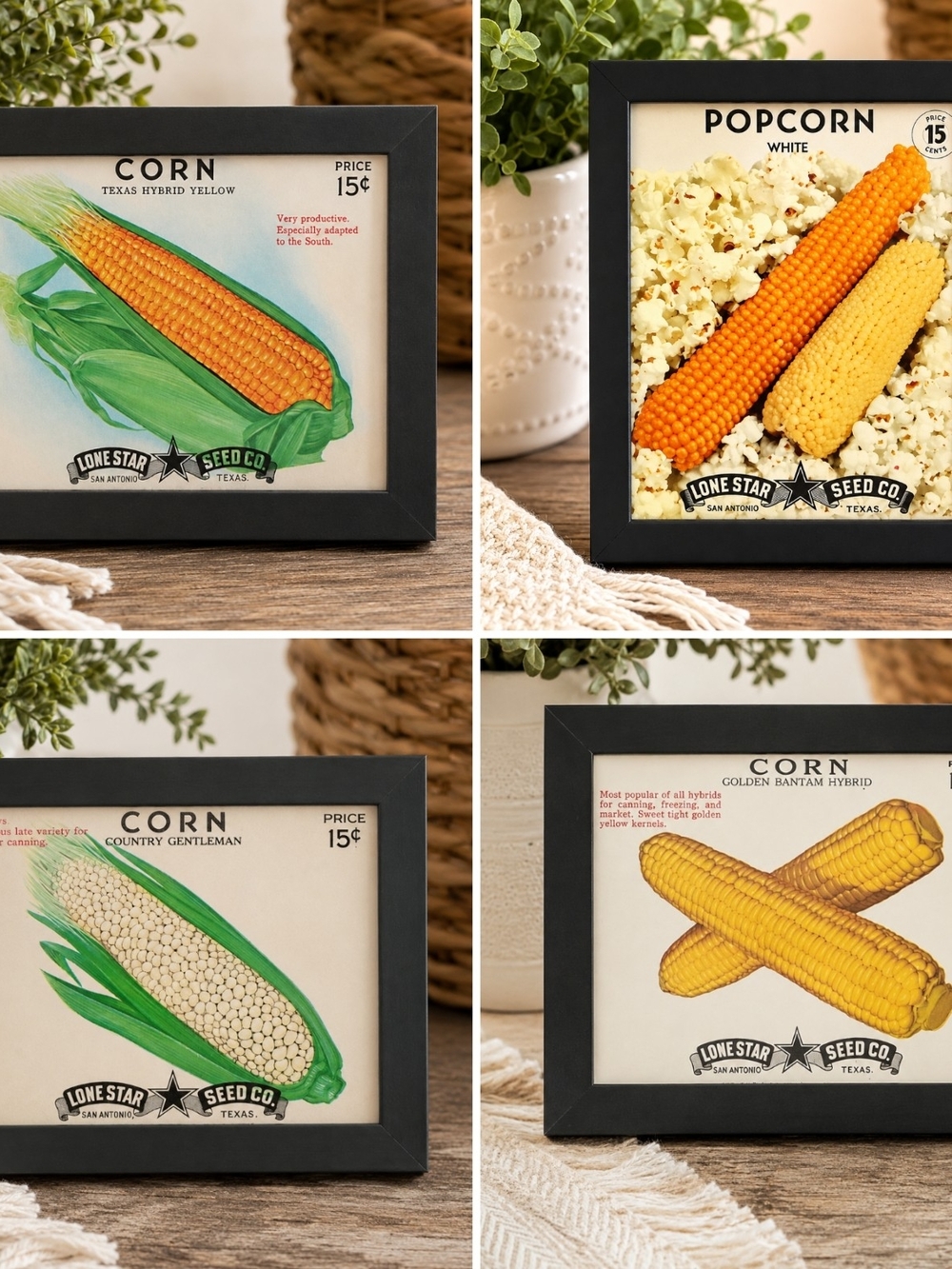 Lone Star Seed Co. Corn & Popcorn Framed Art Set - Yellow, Green, Cream